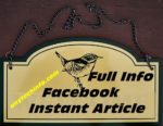 What is Facebook Instant Article And How Does It Work In Hindi 1 book instant article