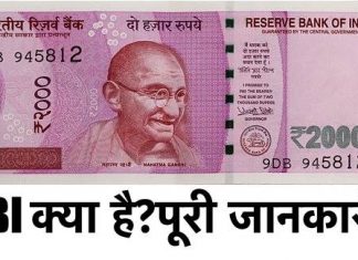 RBI कैसे काम करता हैं ? How does RBI Works in Hindi rbi