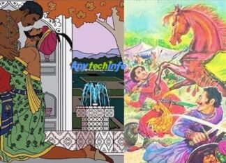 गोरा बादल कविता और गोरा बादल के लेखक कौन है ? Gora Badal Poem in Hindi । Gora Badal Ke Writer or Lekhak Kon Hai ? Gora Badal